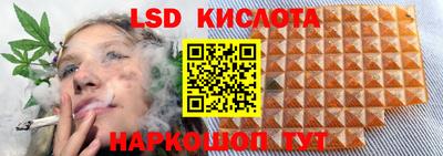 СК Будённовск