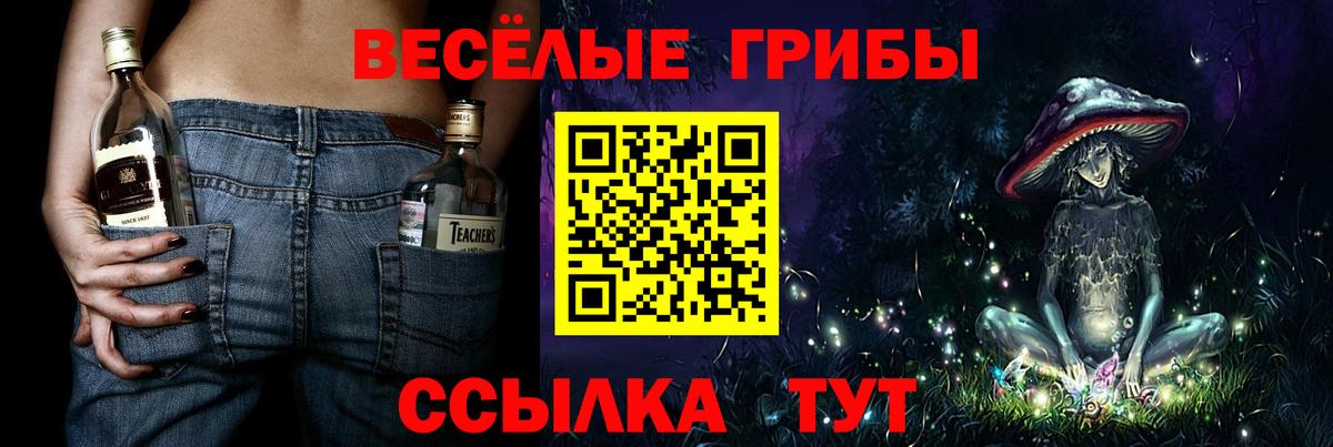 Галлюциногенные грибы мухоморы  Галлюциногенные грибы GOLDEN TEACHER  магазин продажи   Вход с VPN  Новокузнецк 
